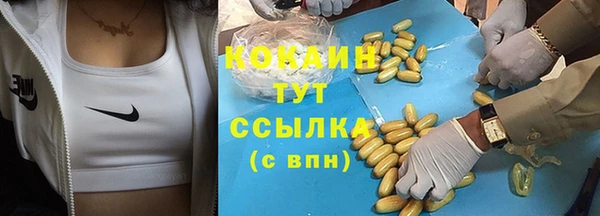 соль курить ск Заводоуковск