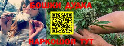 сатива Заволжье