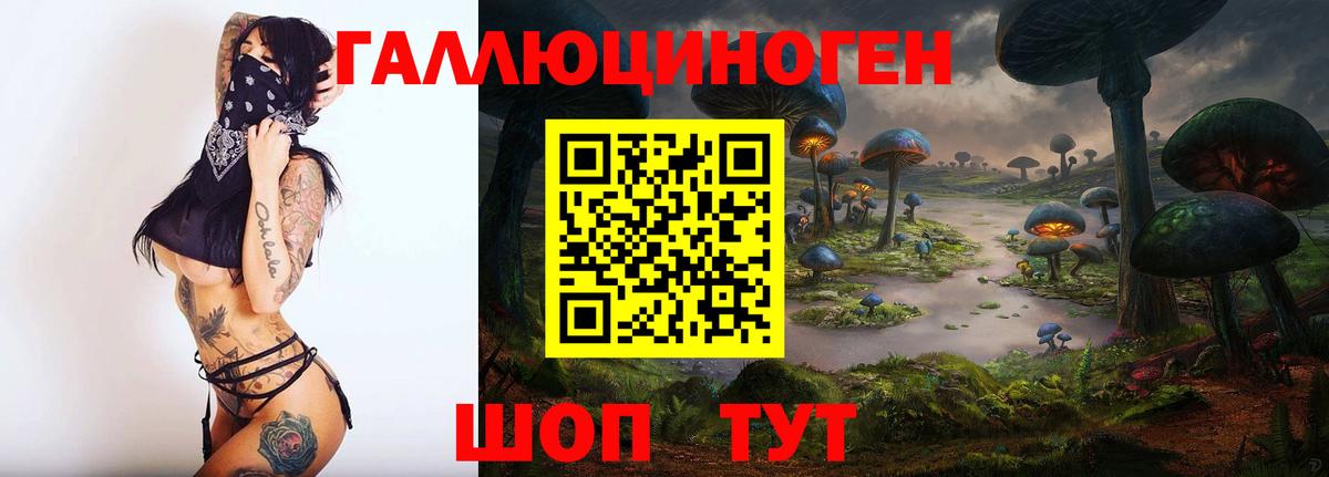 Галлюциногенные грибы Psilocybe  Вход с VPN  Галлюциногенные грибы Psilocybe  Каменск-Шахтинский 